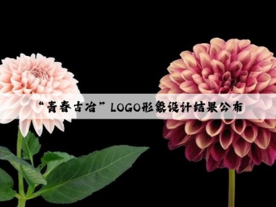 “青春古冶”LOGO形象设计结果公布